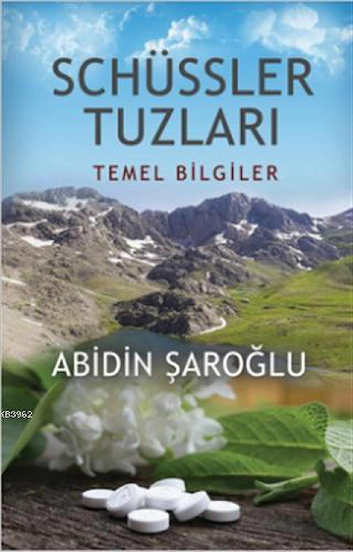 Schüssler Tuzları