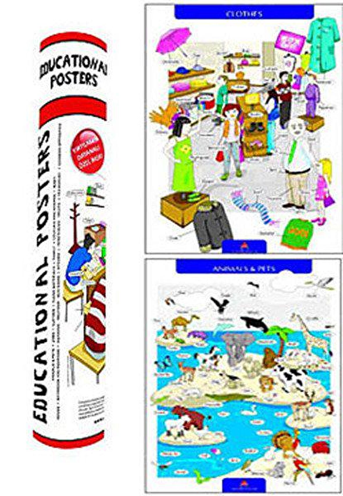 Educational Posters İngilizce Eğitici Posterler