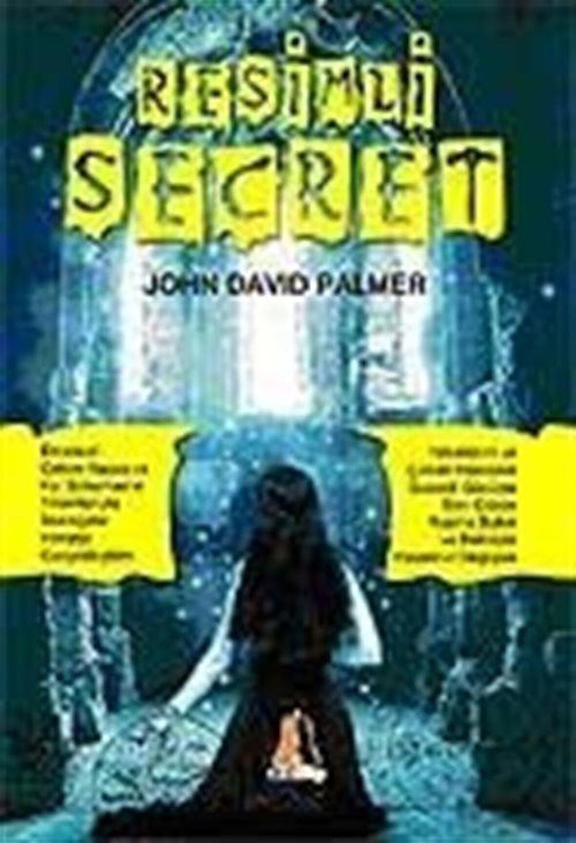 Resimli Secret / John David Palmer