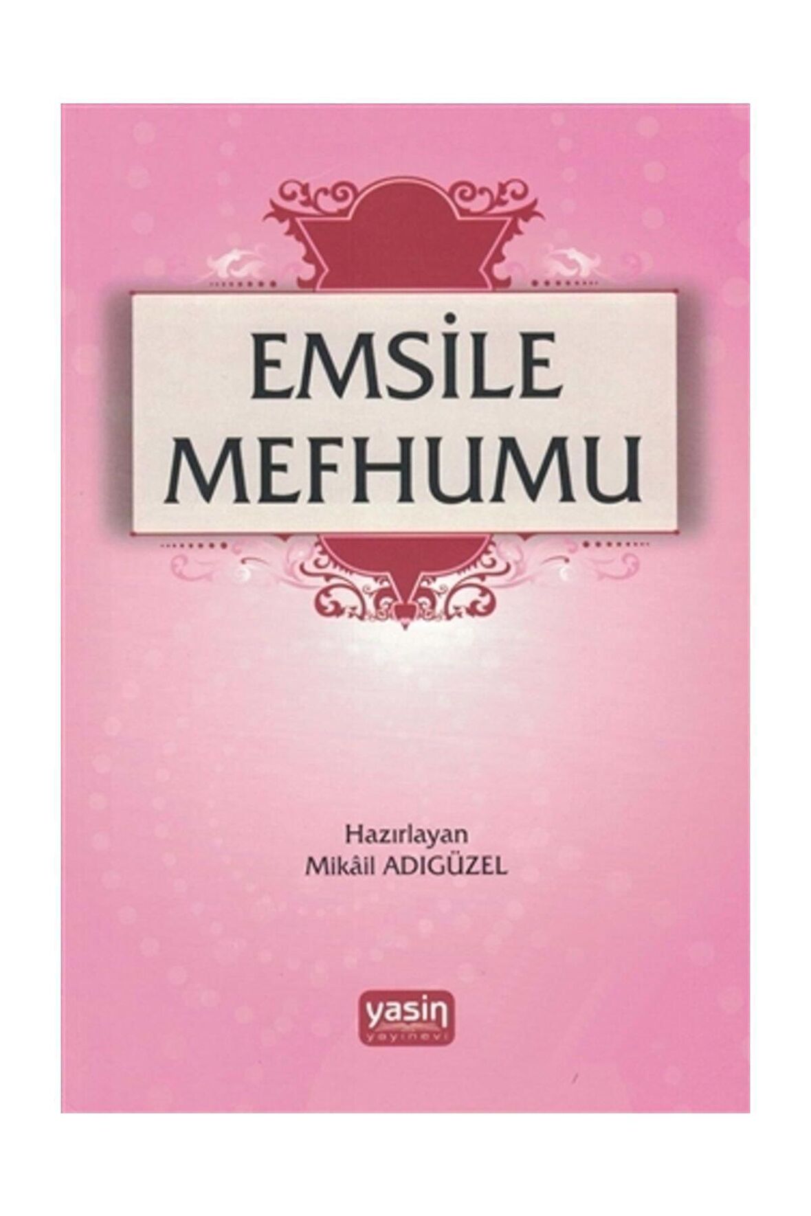 Emsile Mefhumu - Mikail Adıgüzel