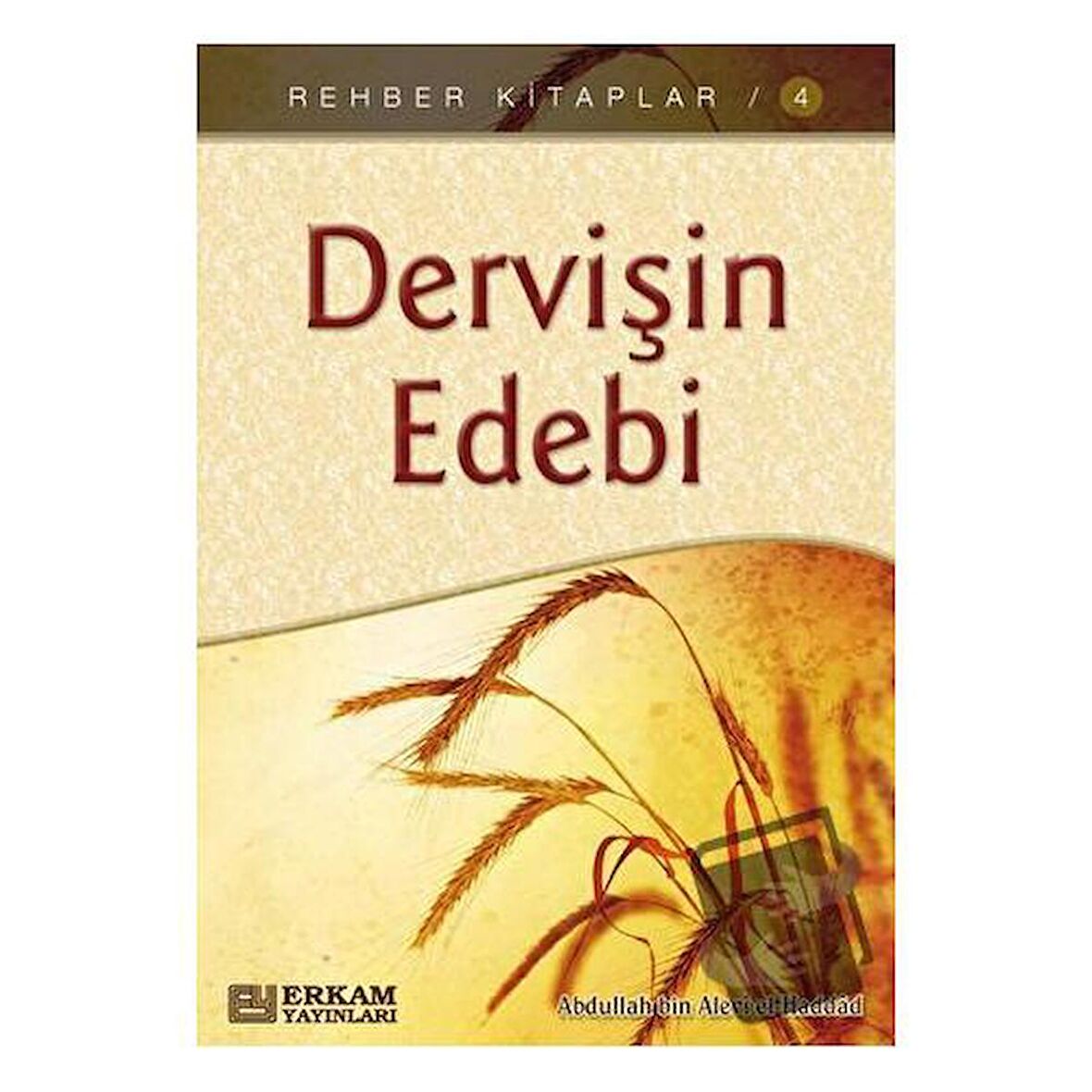 Dervişin Edebi