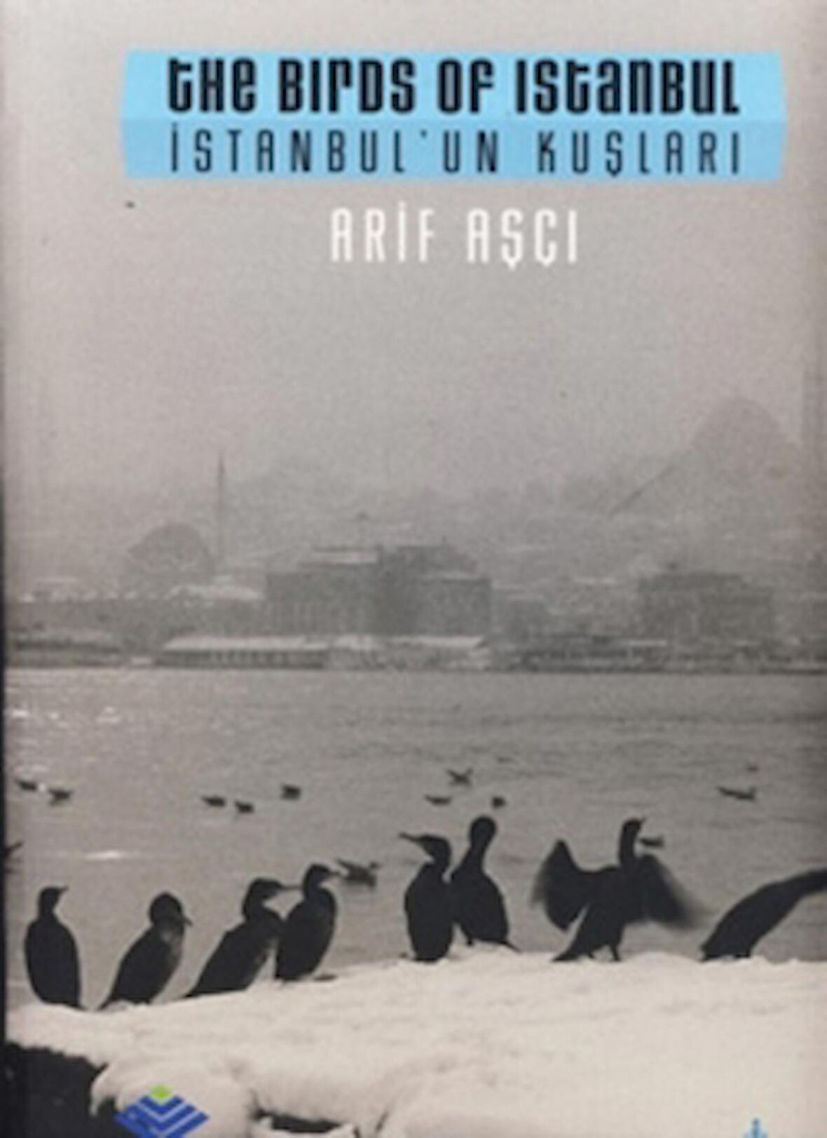 İstanbul’un Kuşları / The Birds ofm Istanbul
