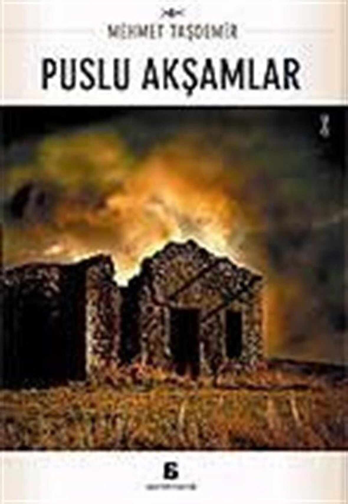 Puslu Akşamlar / Mehmet Taşdemir