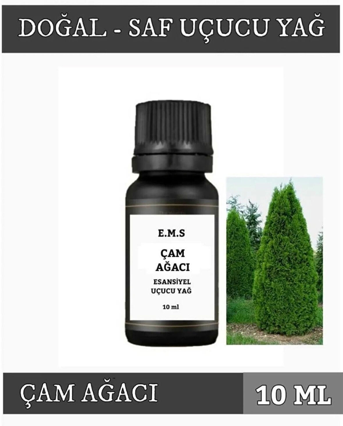ÇAM AĞACI Uçucu Yağ Buhurdanlık Esansı Oda Kokusu DİFÜZÖR Uçucu Esansiyel Yağ Buhur Yağı 10 ML.