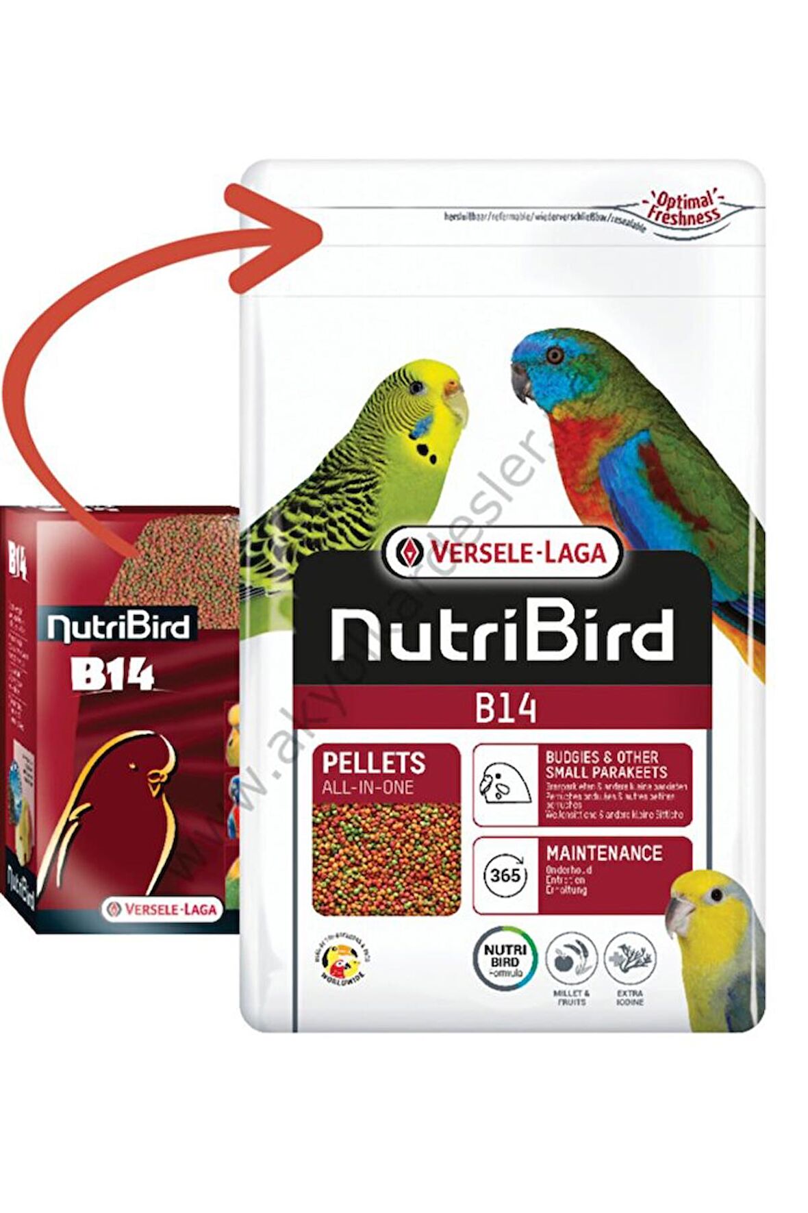 Versele Laga Nutribird B14 Meyveli 500 Gr Muhabbet Kuşu - Paraket Yemi 