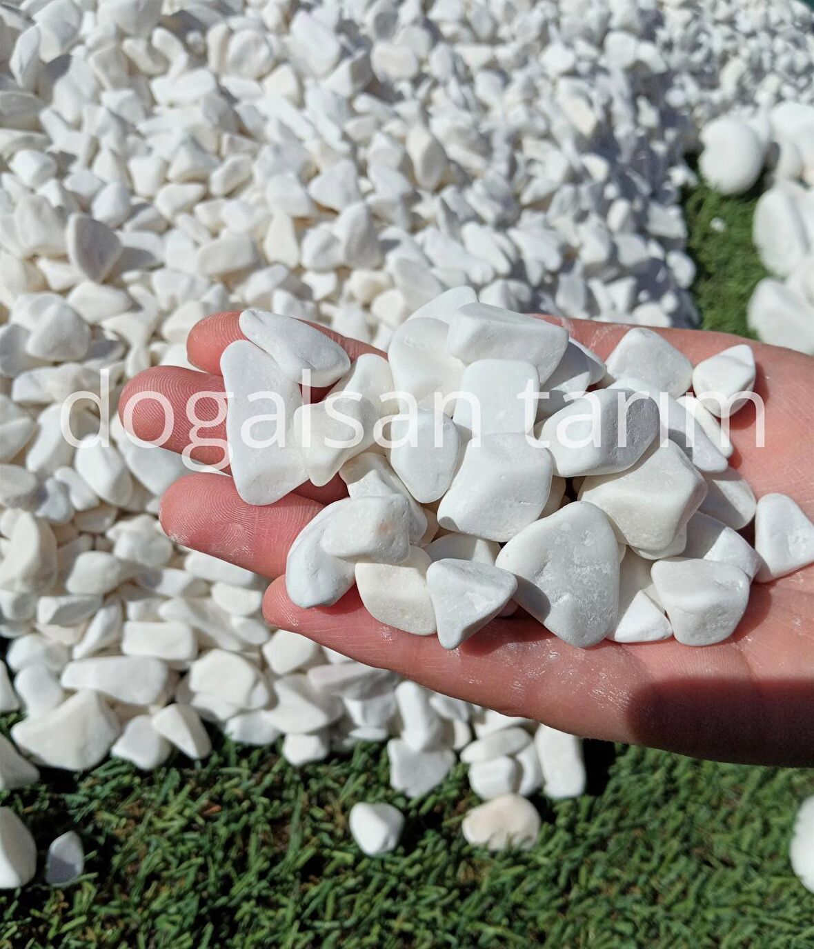 Dolomit Taş Beyaz Taş 1 Kg 1-2 Cm Dere Taşı Çakıl Taşı Dolamit
