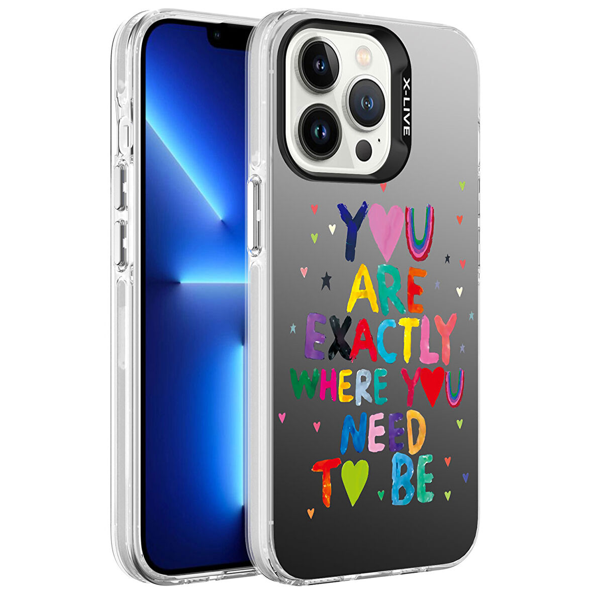 iPhone 13 Pro Kılıf Desenli  Silver Sert Kapak