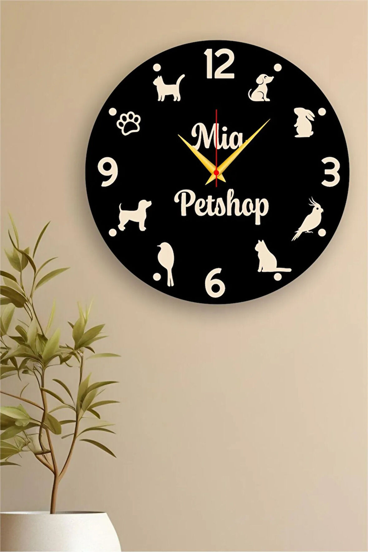 Petshop, Veteriner İşyeri Duvar Saati