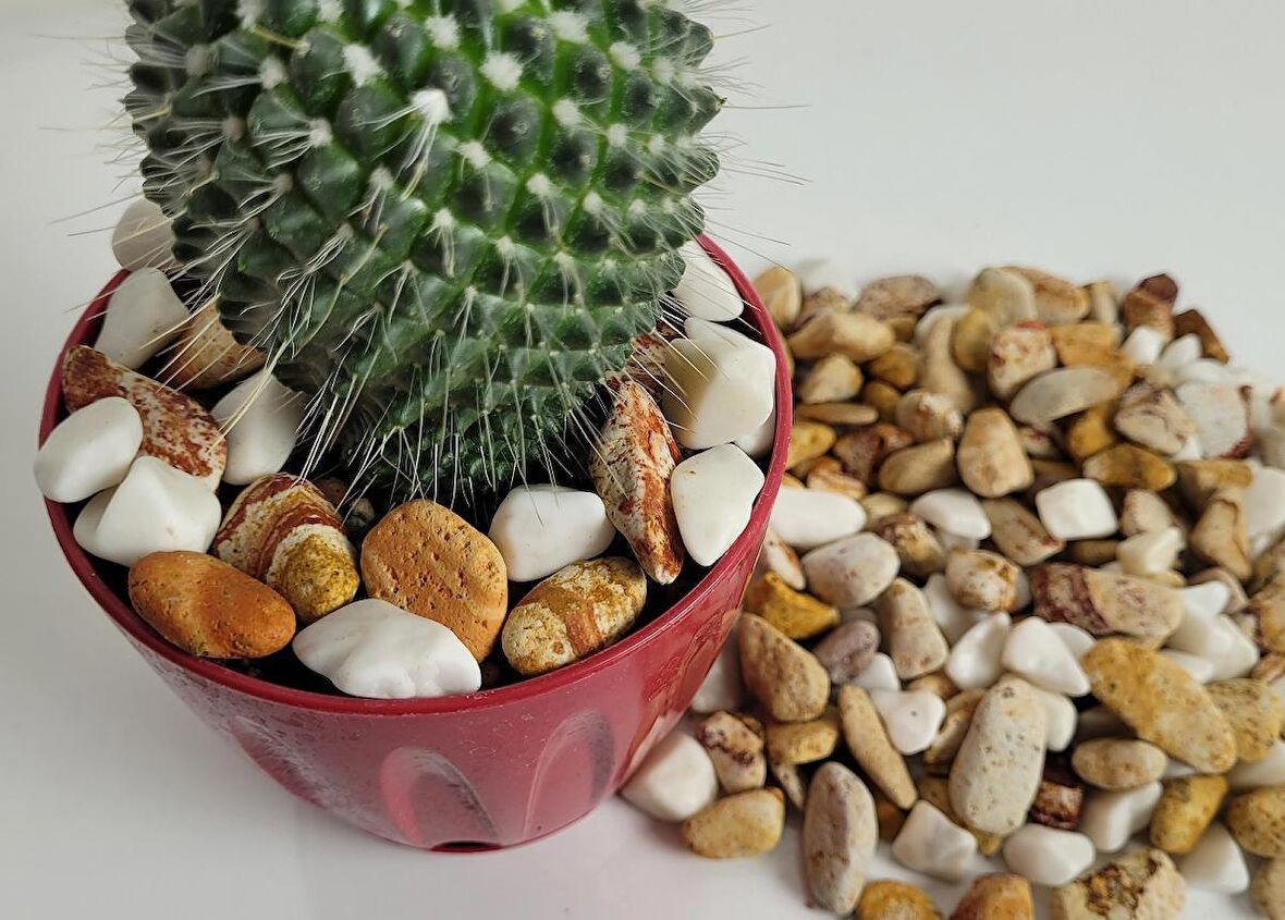 Saksı Dibi Taşı 4 Kg 1-2 cm Karışık Renkli Çakıl Taşı Vazo Dibi T