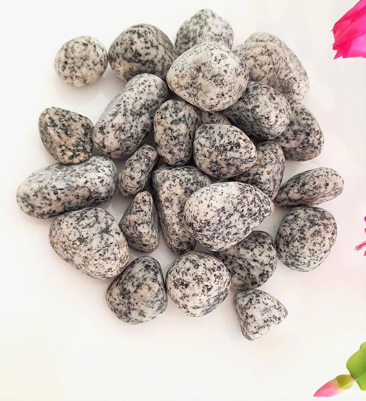 Benekli Dolomit Taş 6 Kg 2-4 Cm Granit Bahçe Dere Taşı Çakıl Taşı