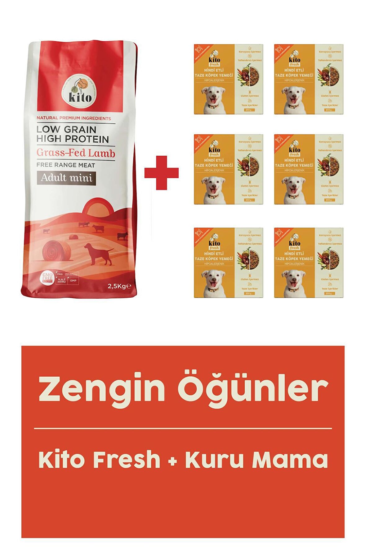 Yetişkin Mini Irk Köpek Maması 2.5 Kg + Hindi Etli Fresh X 6