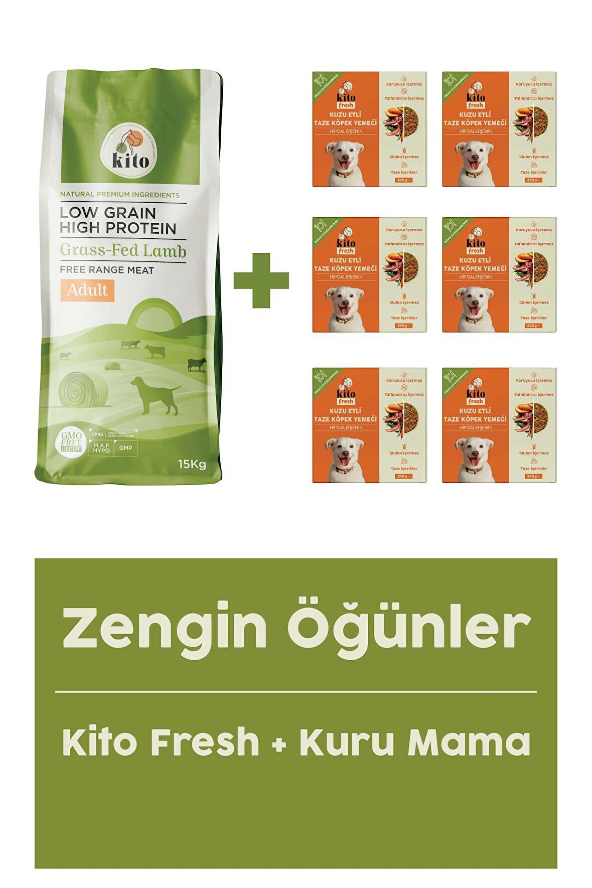 Yetişkin Köpek Maması 15 KG + Kuzu Etli Köpek Kito Fresh X 6