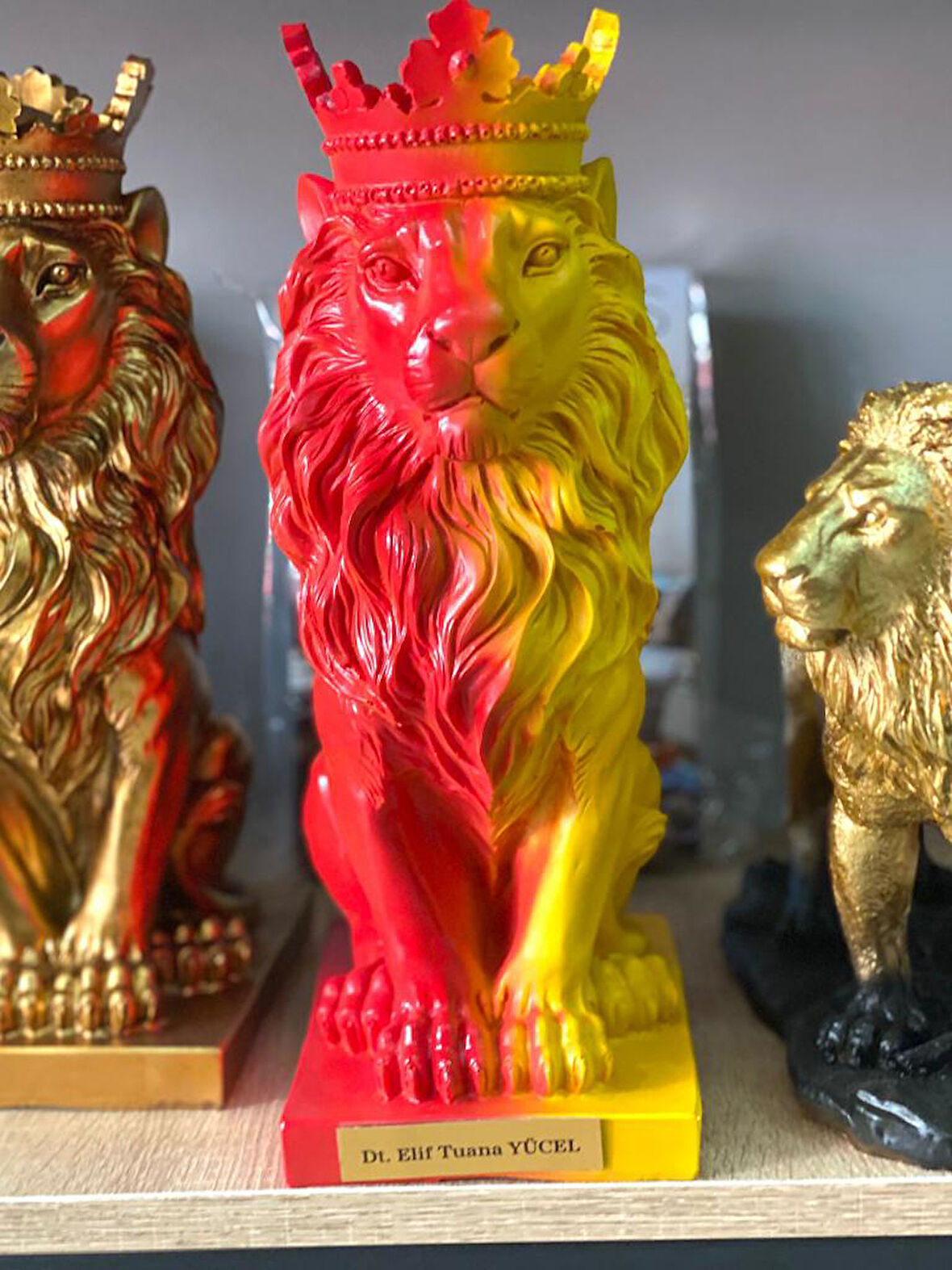 Aslan Kral Biblo Kişye Özel, İsim Veya Marka Yazılır