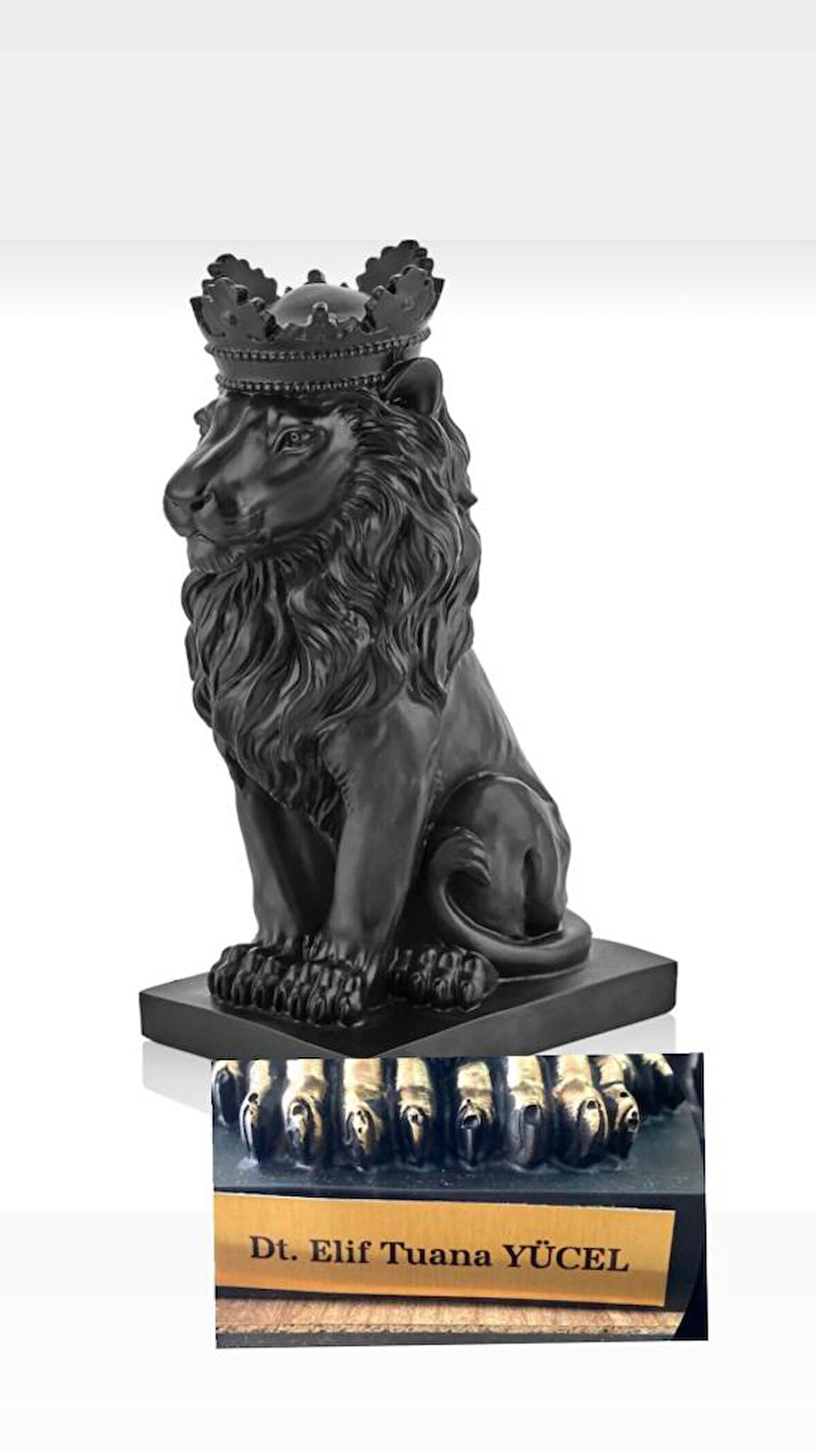 Aslan Kral Biblo Kişye Özel, İsim Veya Marka Yazılır