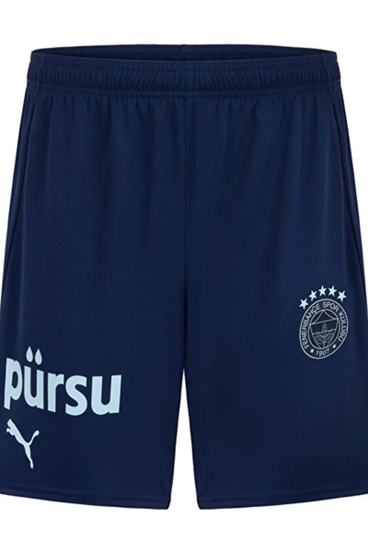 Fenerbahçe Sk  Puma 2024/2025 Lacivert Erkek Futbol Şortu 77538209