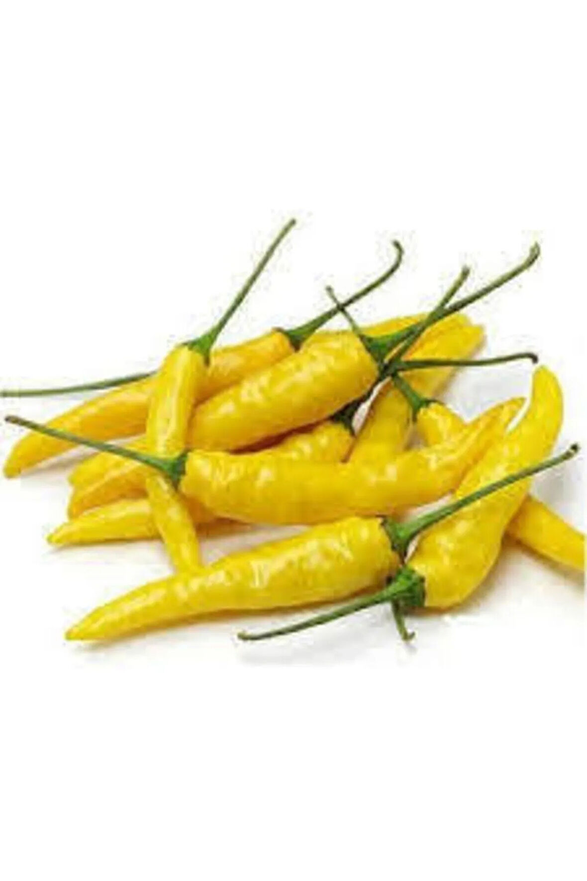 25 Adet Turşuluk Sarı Yemelik Süs Biberi Tohumu