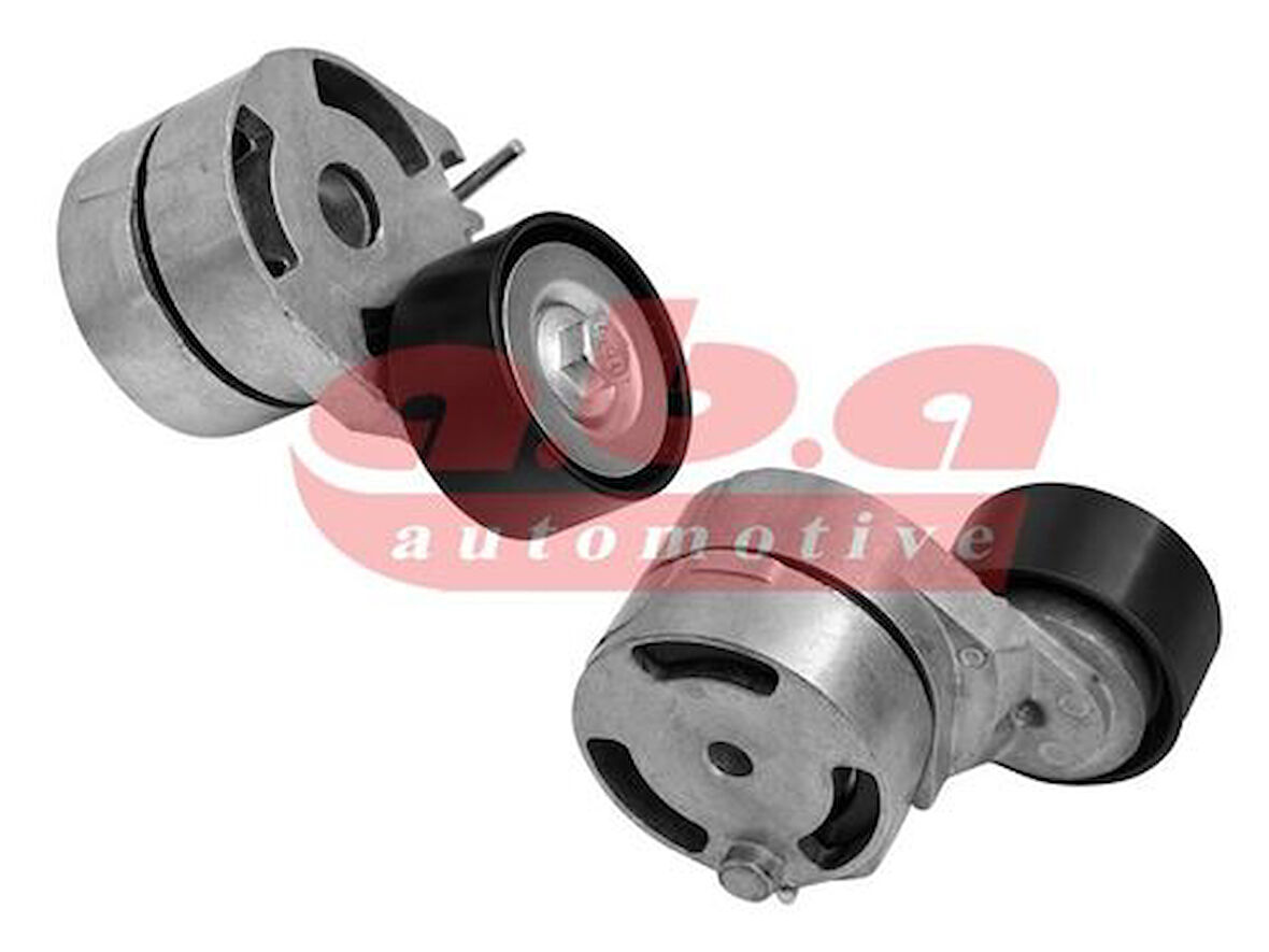 Aba 25405987 Alternatör Gergi Rulmanı Komple Berlıngo II C5 II Xsara II Xsara Pıcasso C3 Fıesta P407 Partner II P206 1.4 Hdı 1.6 Hdı 03> Fıesta 02>10 Fusıon 01>12 1.4Tdcı