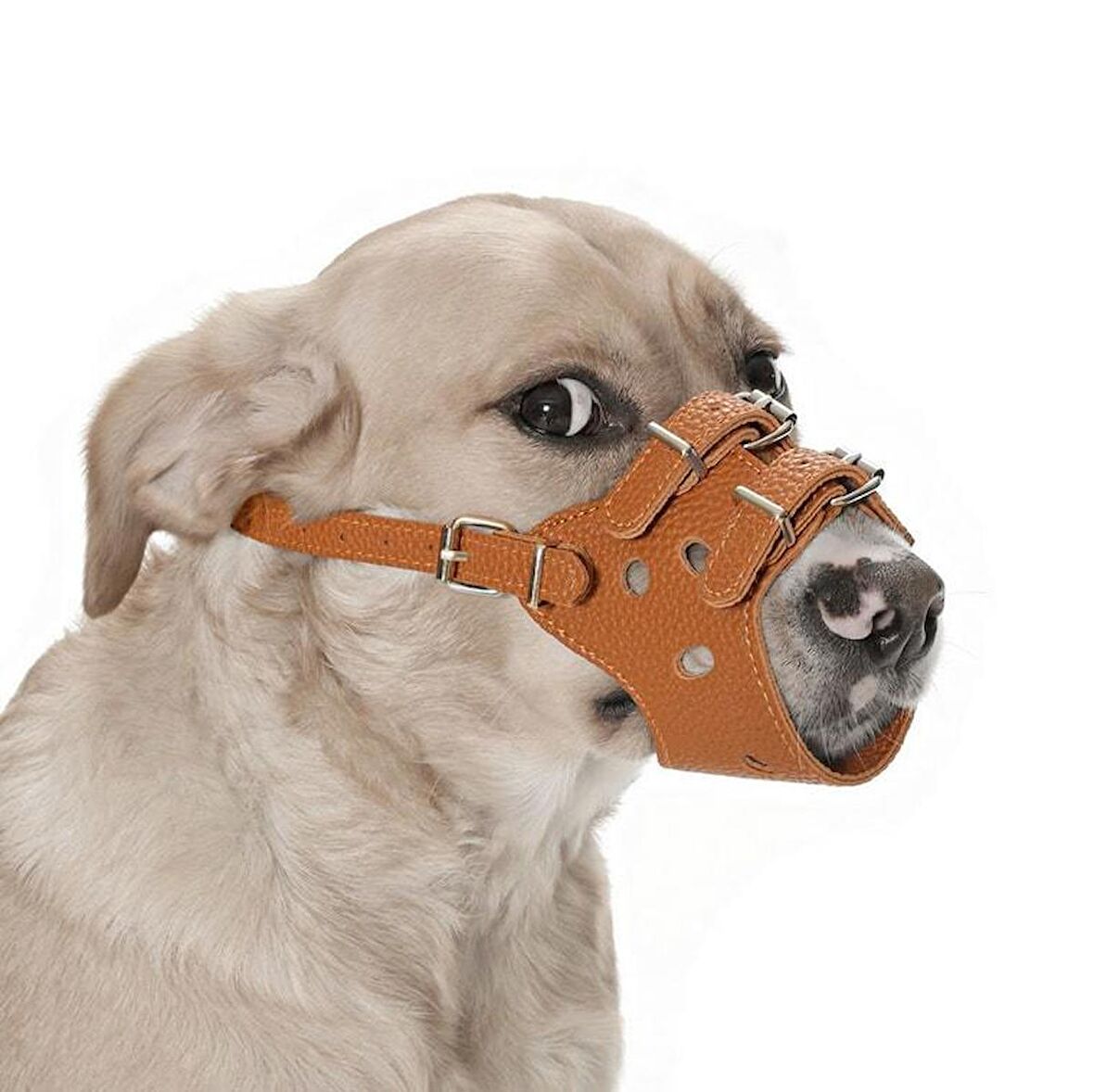 Muzzle Ayarlı Köpek Ağızlık