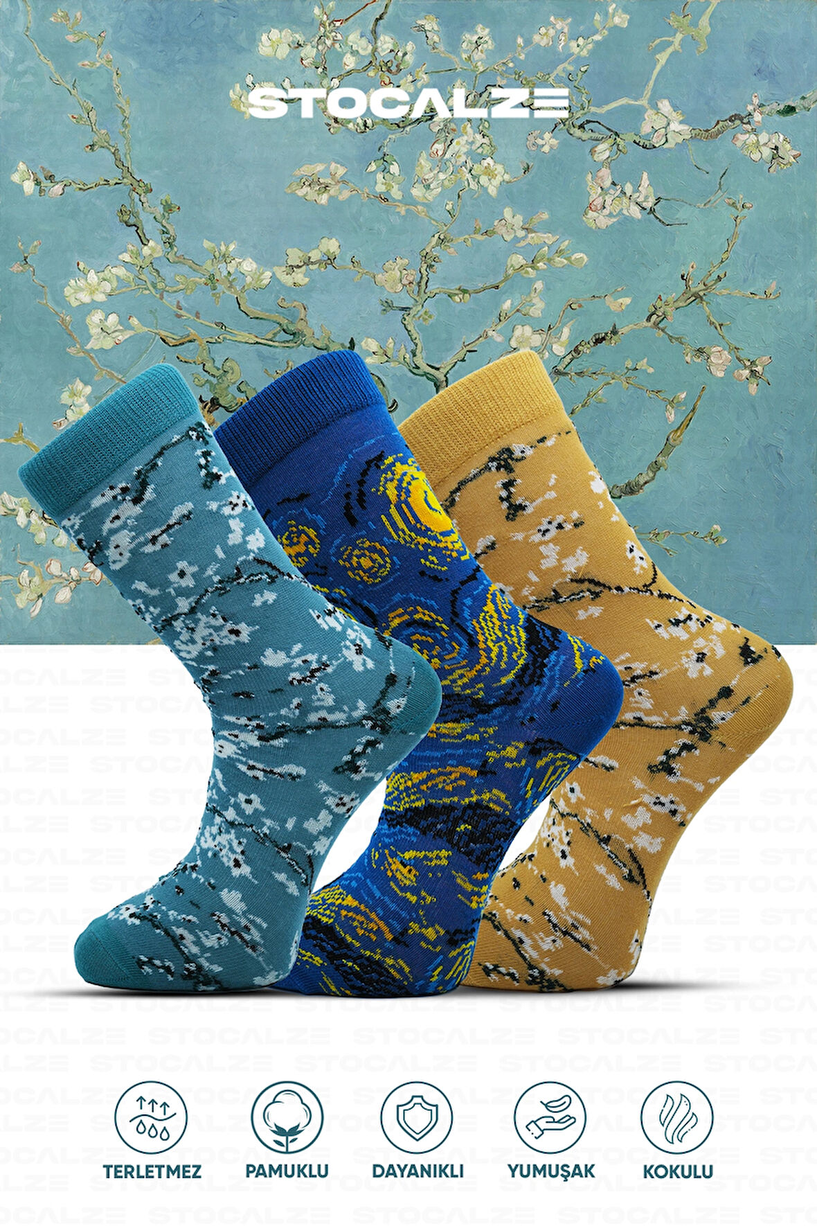 Stocalze Pamuklu Sanat Temalı Soket Çorap. Gece Badem Ağacı Desenli Van Gogh Temalı 5'li Kutulu Çorap Seti.