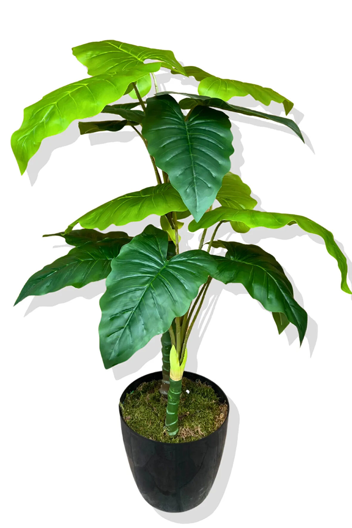 Yapay Fil Kulağı (Alocasia Odora) Ağacı 100 Cm