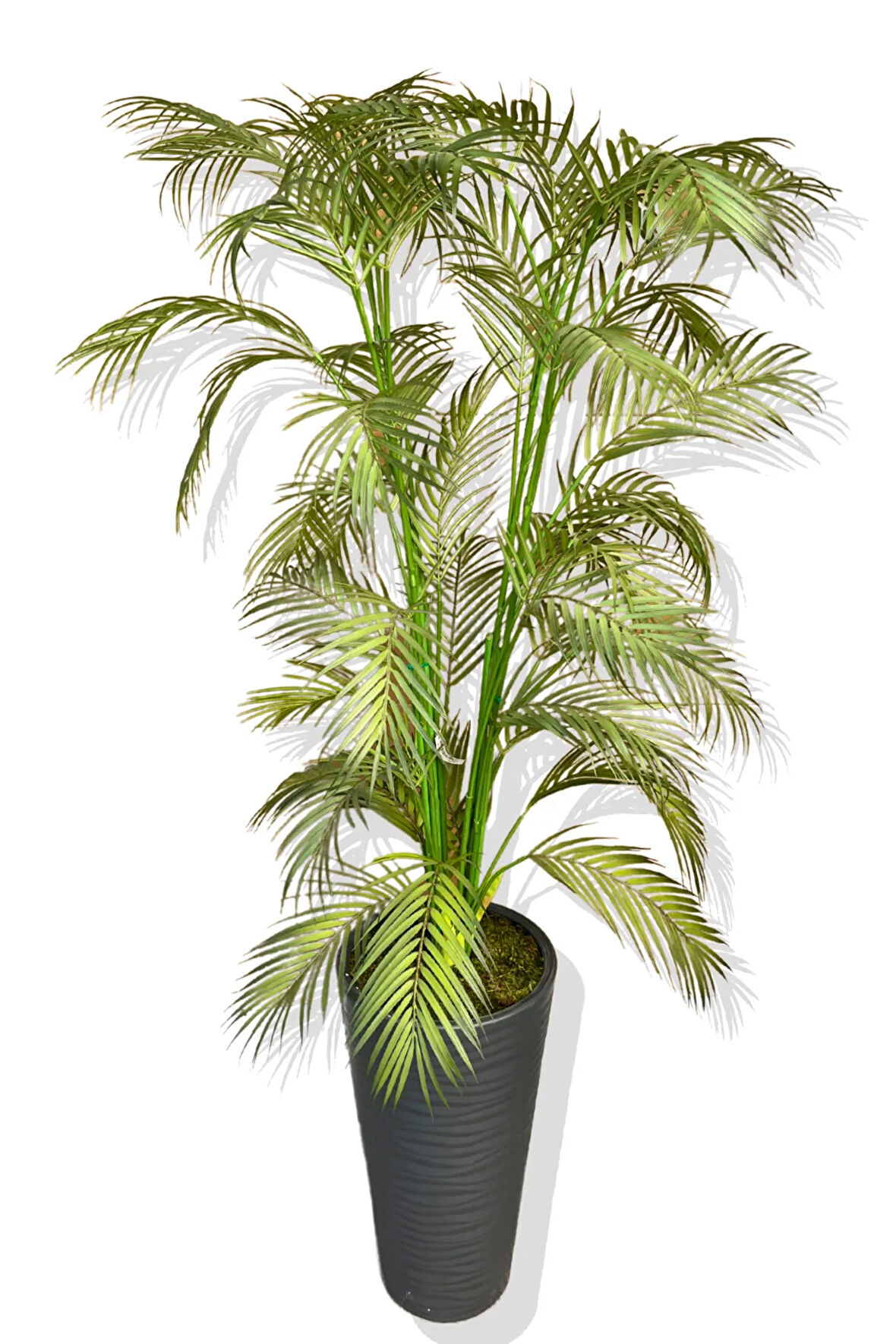 Yapay Ağaç Areka Palmiye 170-180 Cm Kumsal Saksı