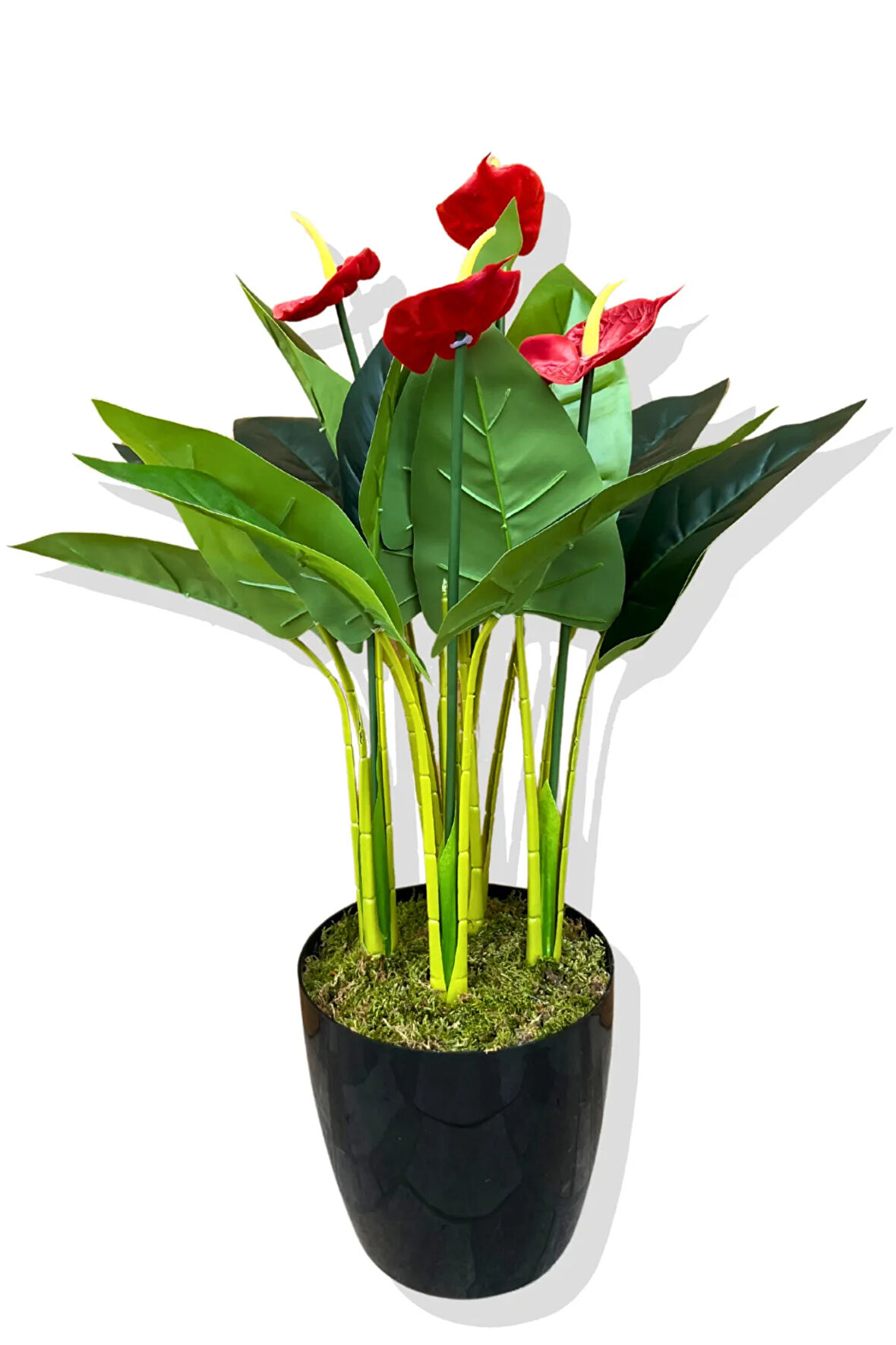 Yapay Bitki Antoryum 80-85 Cm