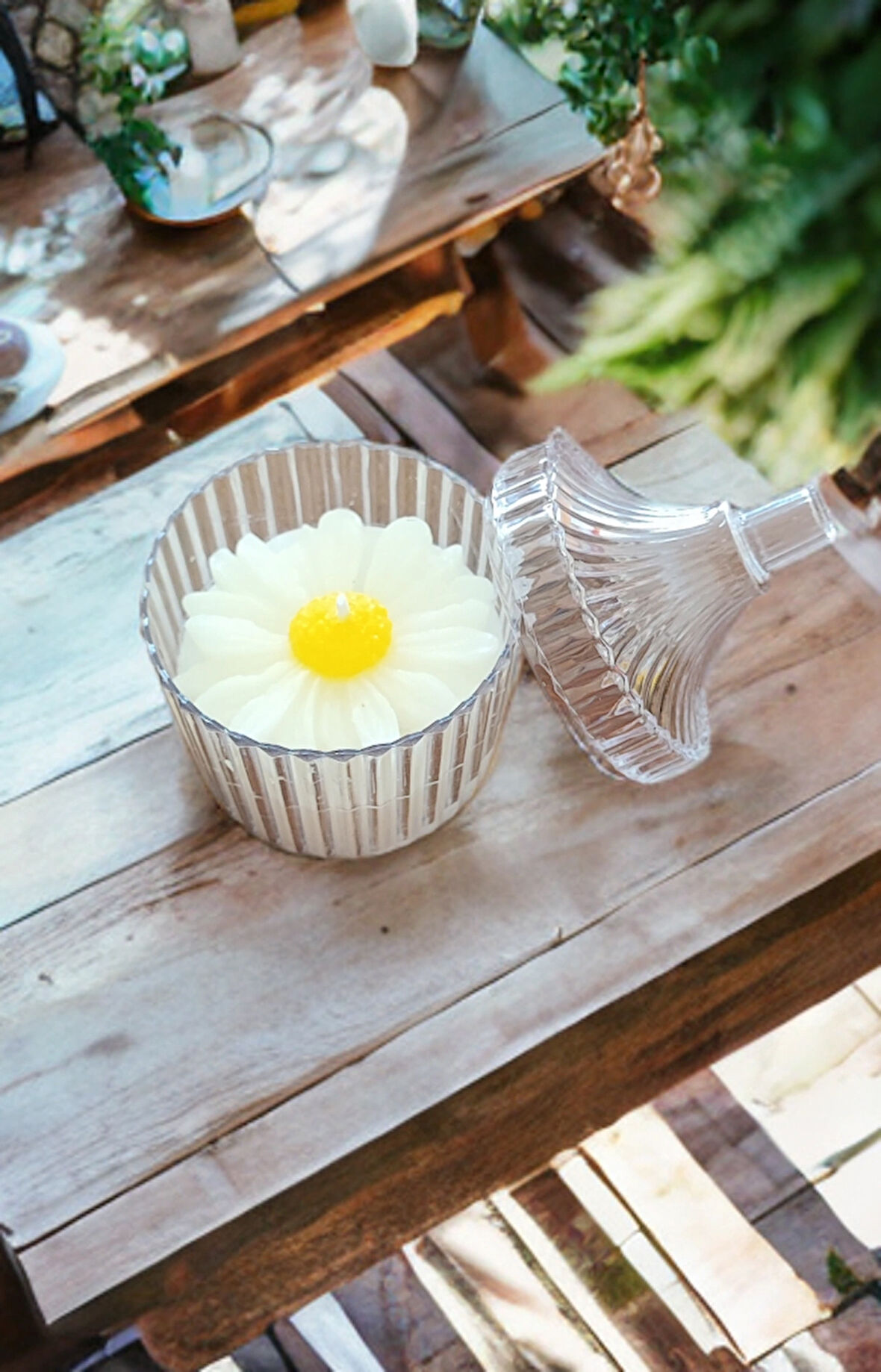 MİKA ŞEKERLİK İÇERİSİNDE KOKULU PAPATYA MUM