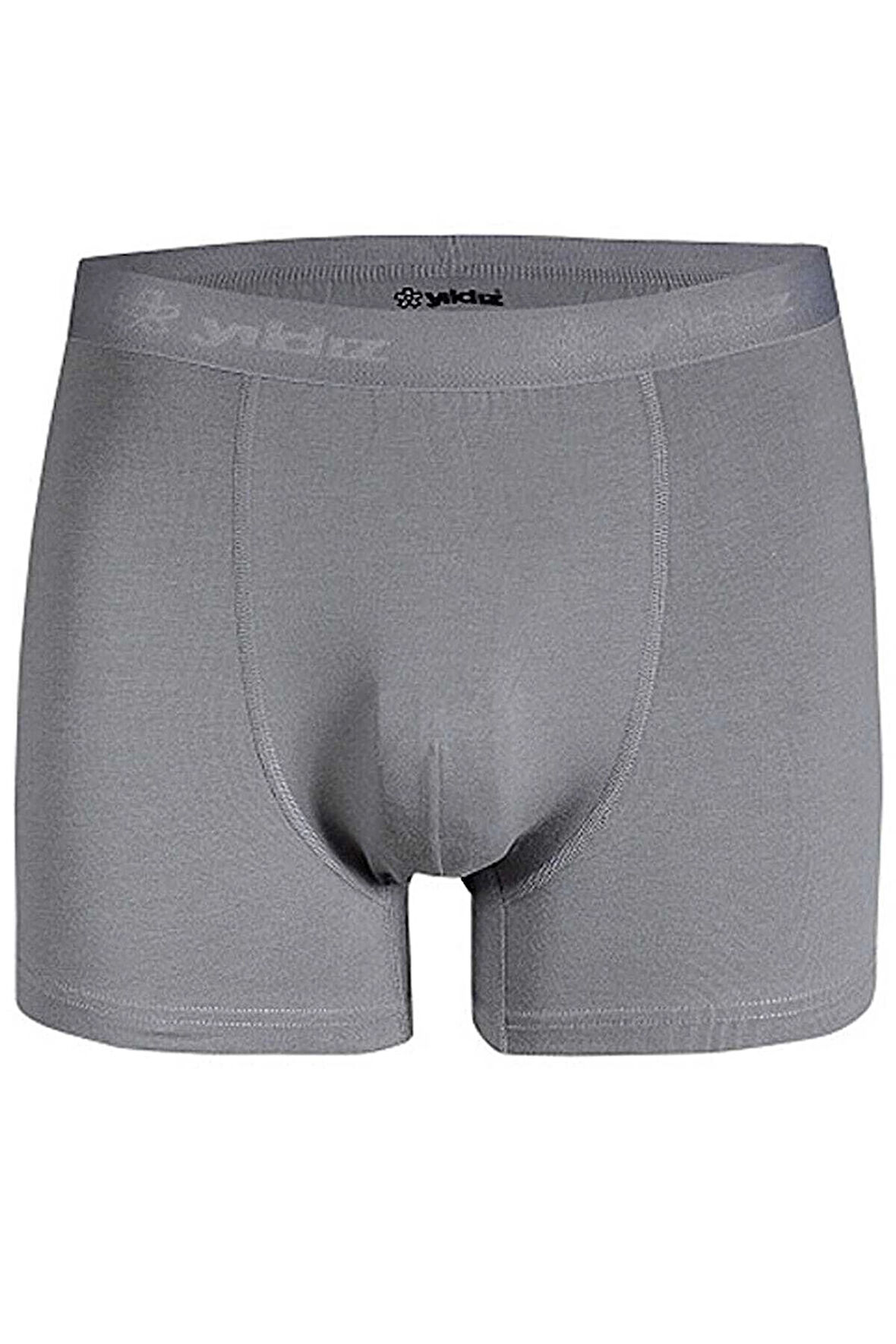 Aesco Star 103 Erkek  Modal Boxer