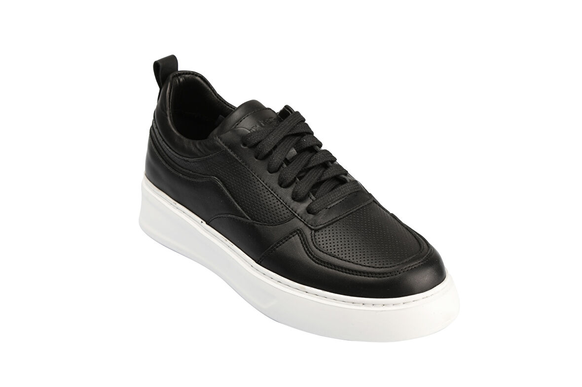 DexterAG24111-61