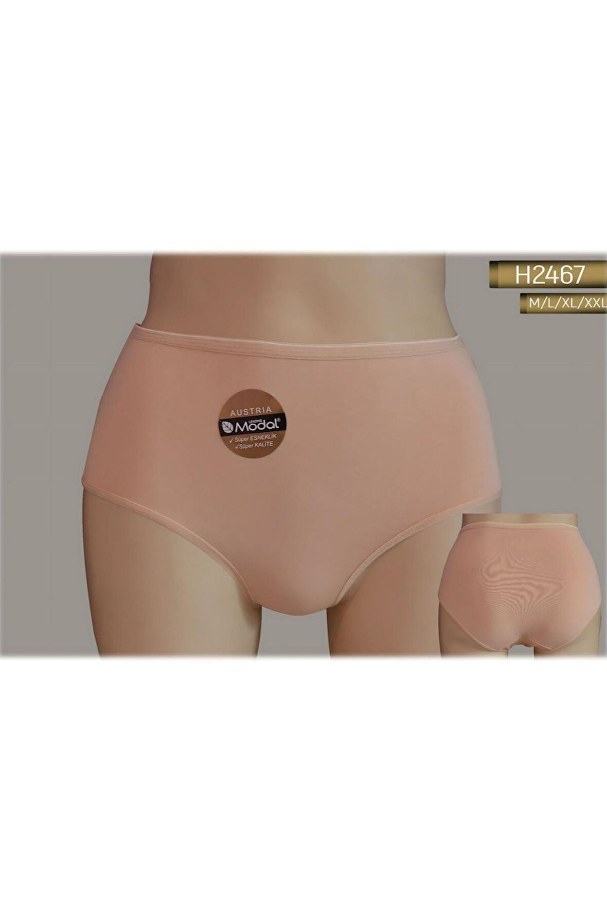 2467 YÜKSEK BEL MODAL SLIP HELENA PARİS KADIN