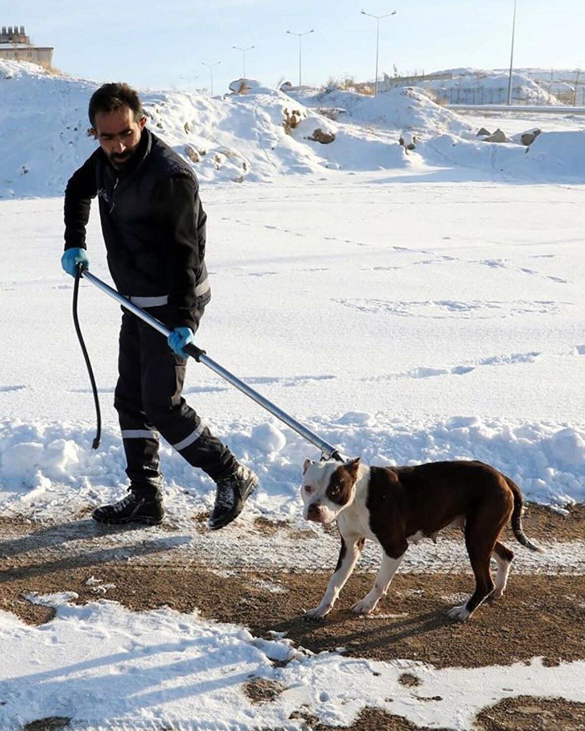 Köpek Yakalama Aleti 150 cm