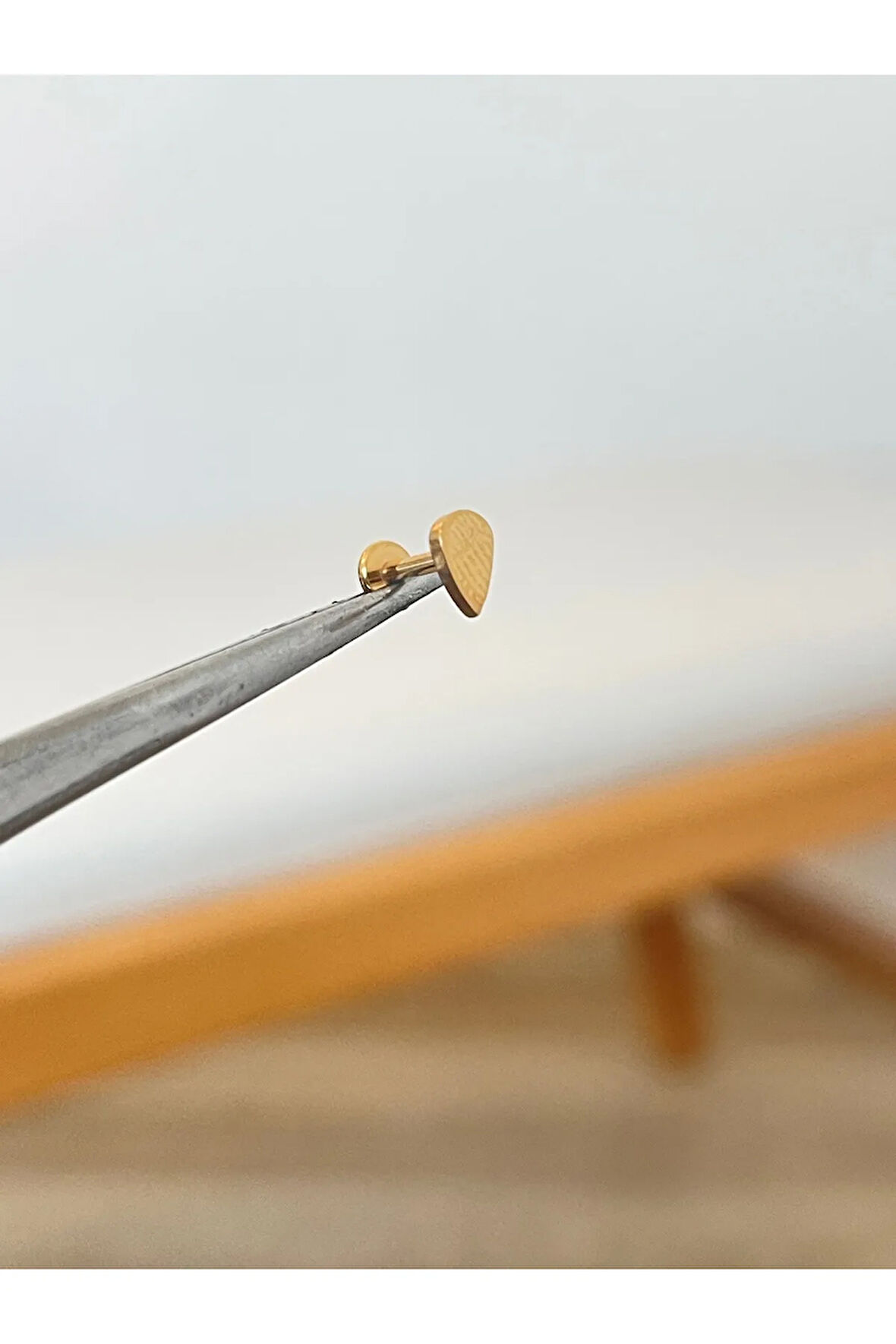 316 L Cerrahi Çelik Damla Model Conch Kıkırdak Helix Dudak Tragus Piercingi