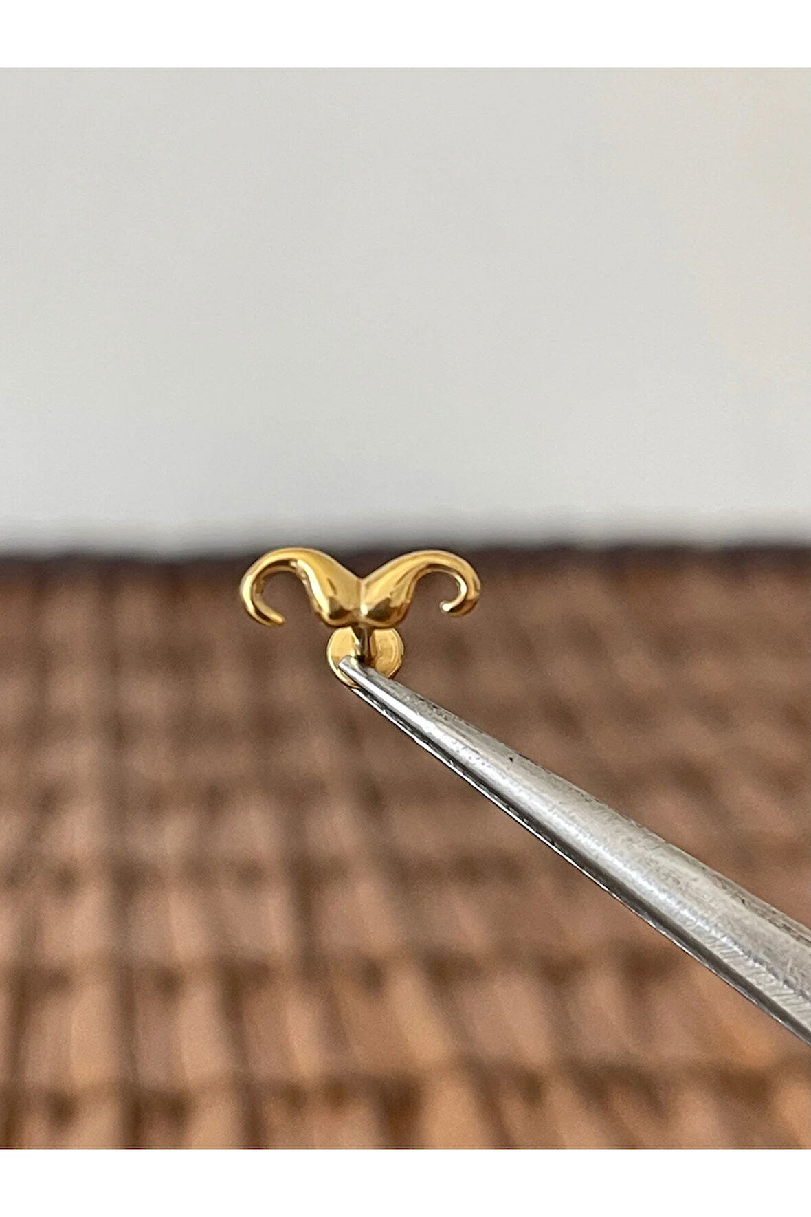 316 L Cerrahi Çelik Bıyık Modeli Dudak Kıkırdak Helix Tragus Piercingi