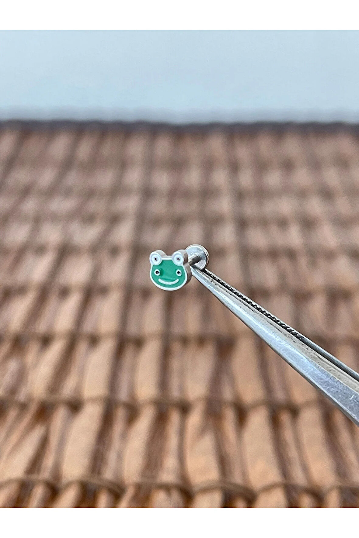 316 L Cerrahi Çelik Mineli Kurbağa Dudak Kıkırdak Helix Tragus Piercingi 8mm x 1,2mm