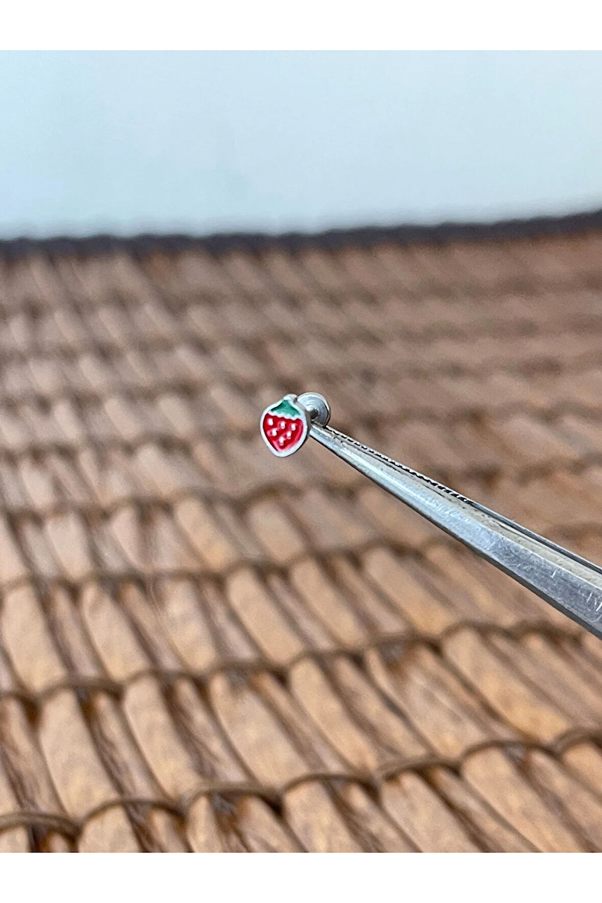 316 L Cerrahi Çelik Mineli Çilek Dudak Kıkırdak Helix Tragus Piercingi 8mm x 1,2mm