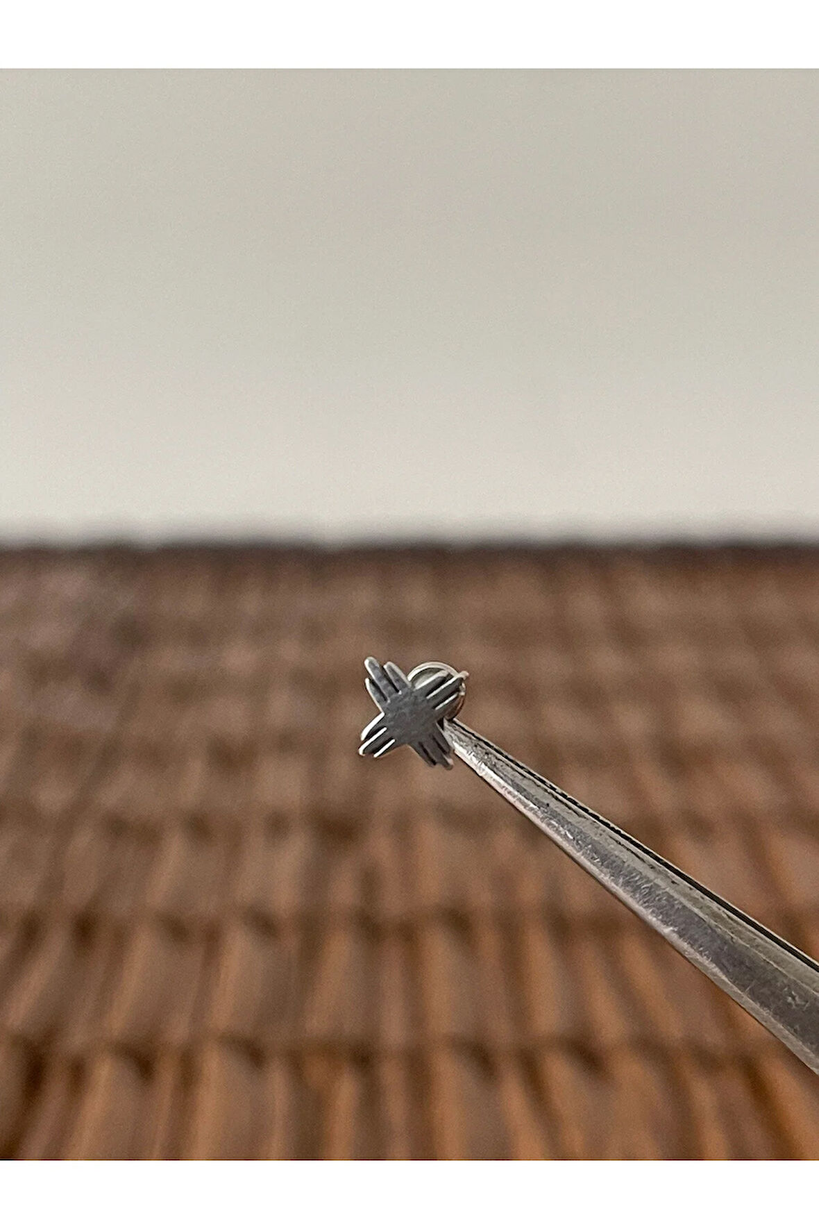 316 L Cerrahi Çelik Kızılderili Güneşi Dudak Helix Tragus Kıkırdak Conch Piercing