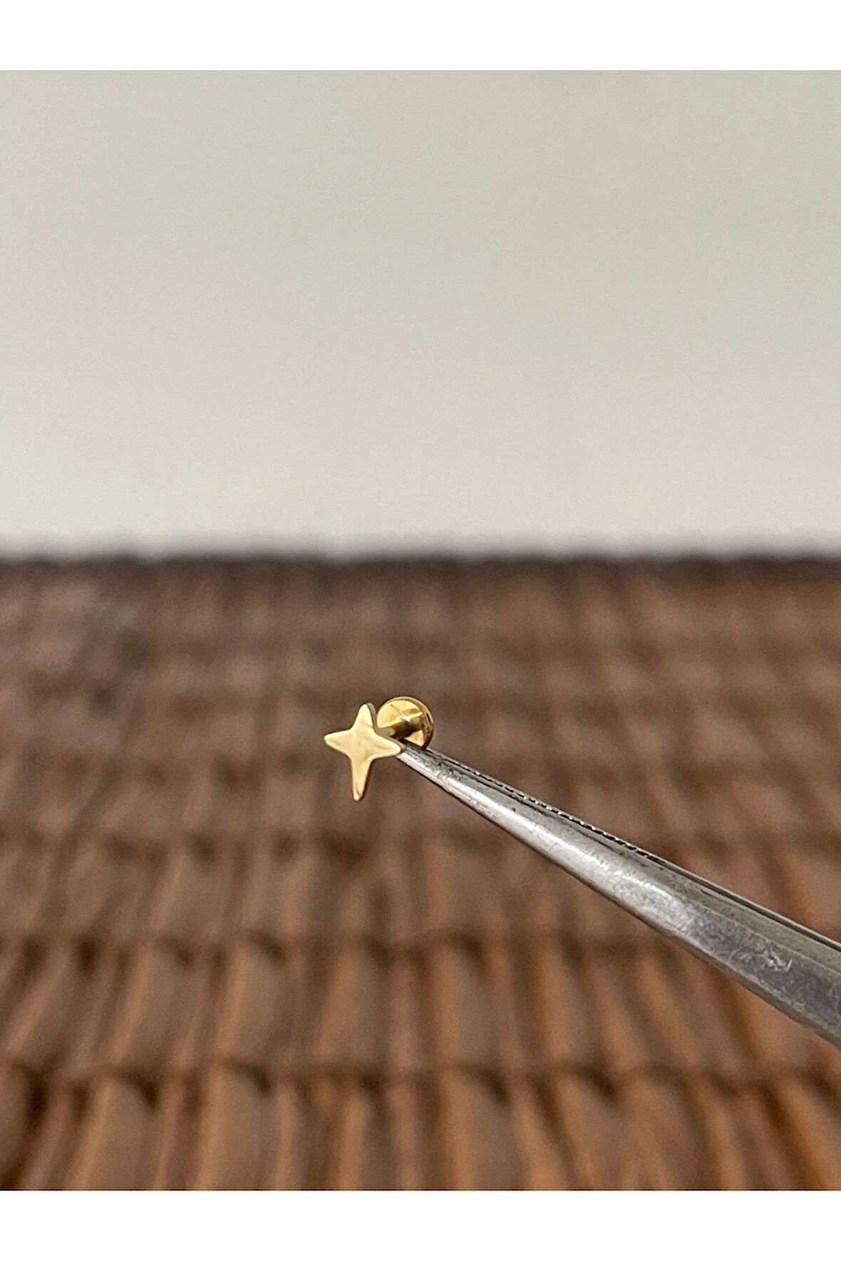 316 L Cerrahi Çelik Kuzey Yıldızı Dudak Helix Tragus Kıkırdak Conch Piercing