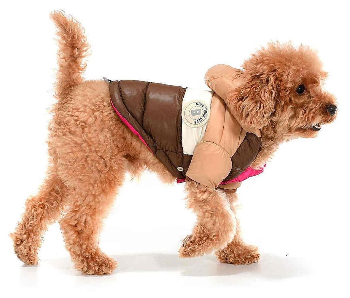 Küçük ve Orta Irk Köpek Mont Runa