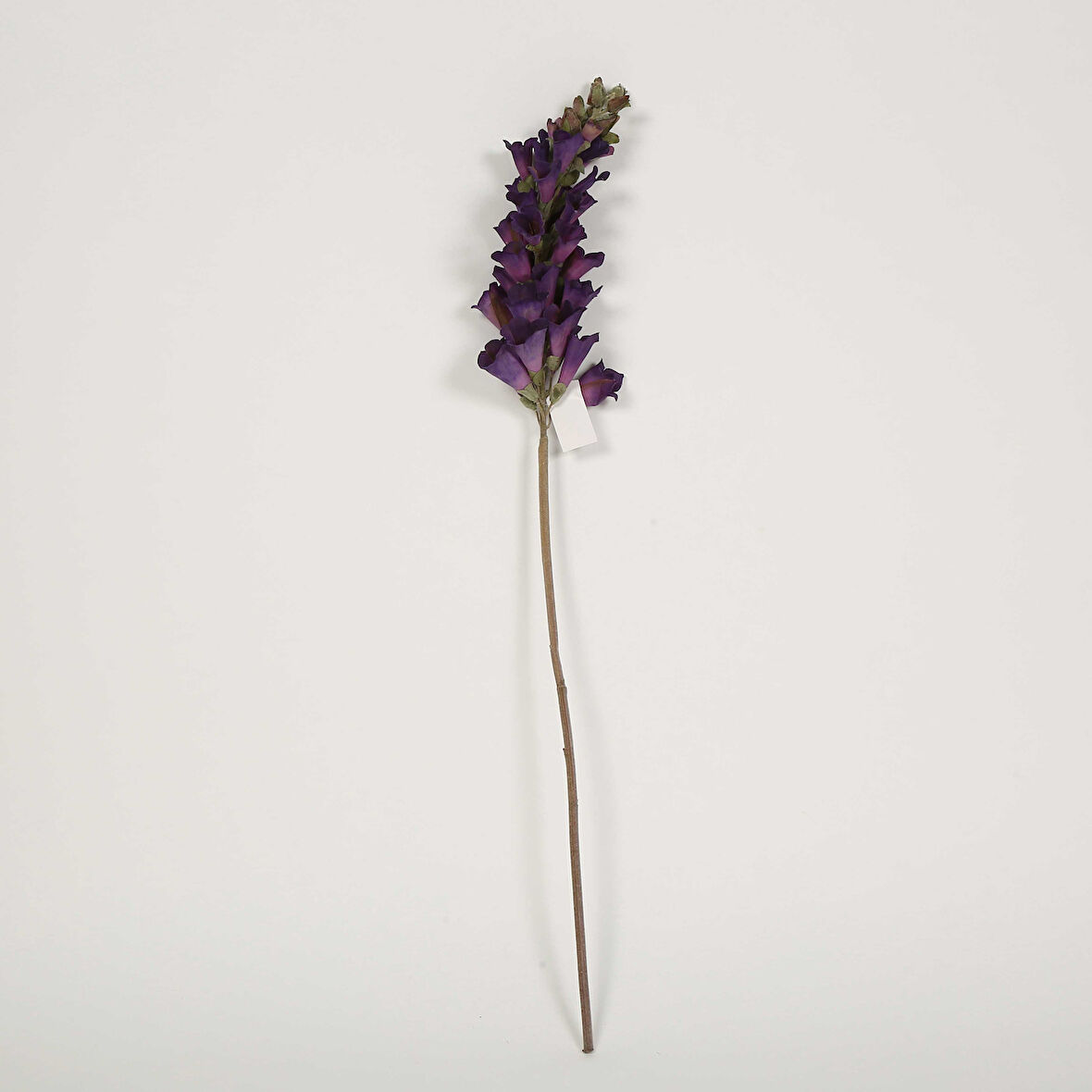 Vitale Yüksüke Purple Yapay Çiçek 12*80*8 cm AK.JZ0025