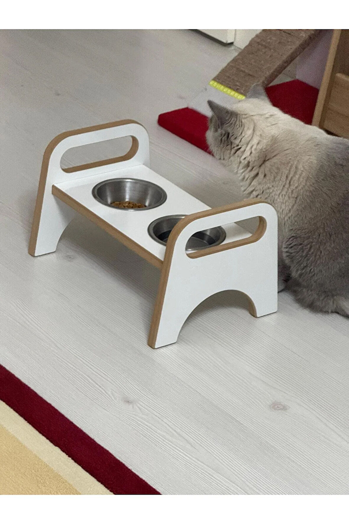 MamaMod Kedi & Köpek Mama Standı