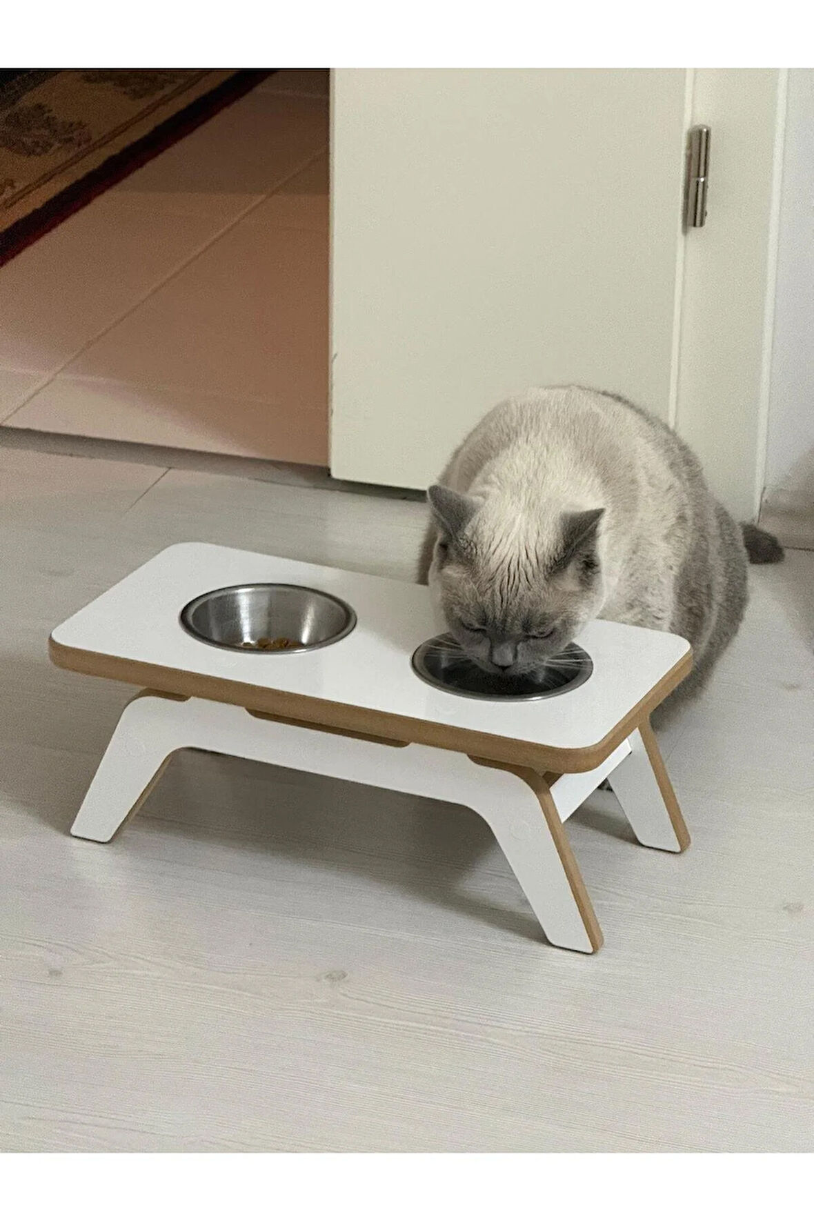 Miyavio Kedi & Köpek Mama Standı