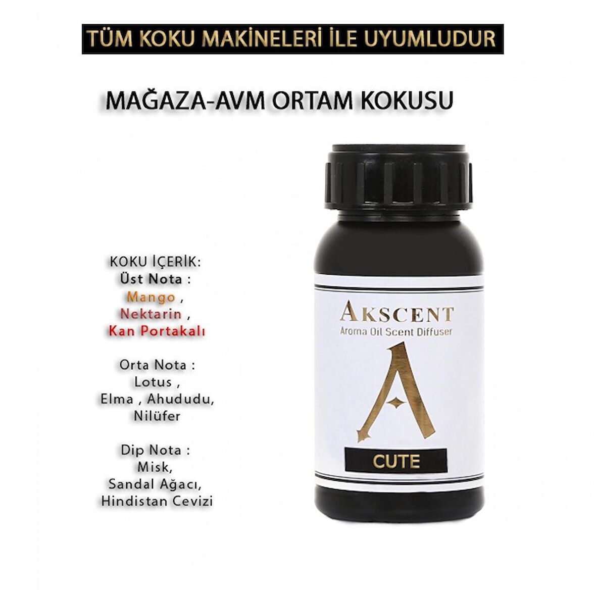 Akscent Cute Tüm Koku Makinelerine Uyumlu Koku Makinesi Koku Kartuşu Esansı 250 ML