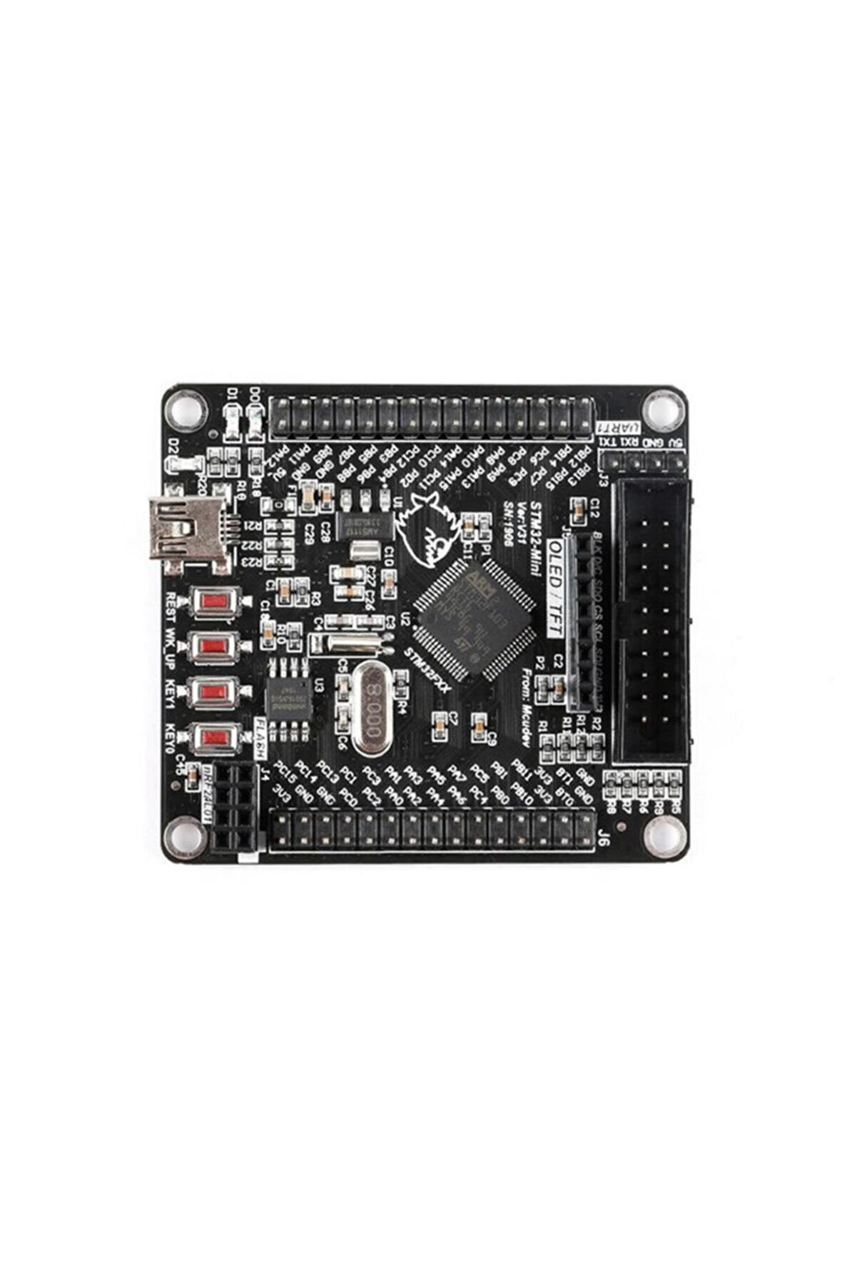 Stm32f103rct6 Gelistirme Kartı Arm Stm32 32 Bit Arm Cortex M3