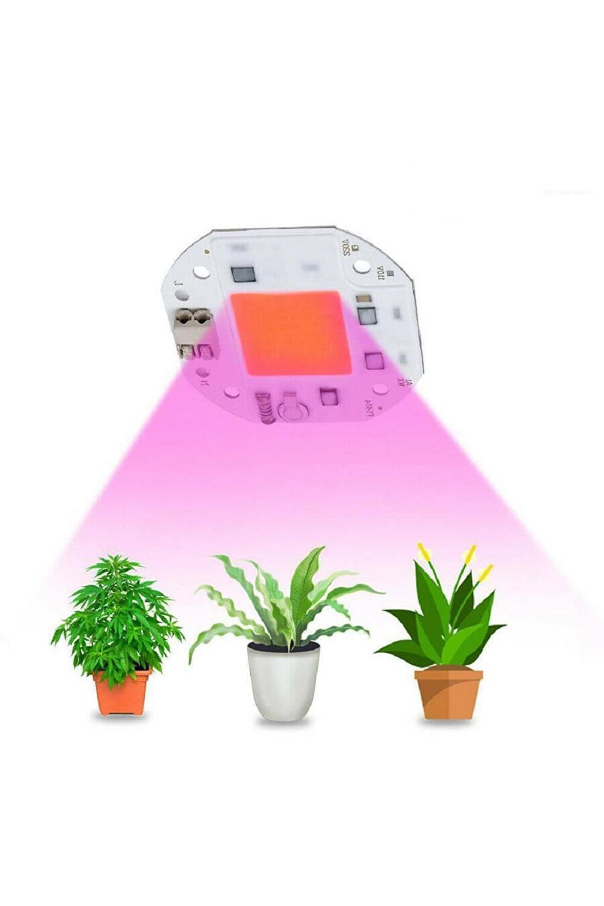 220v 50w Bitki Büyütme Ledi Klemensli Tüm Işık Spektrumlu Fide
