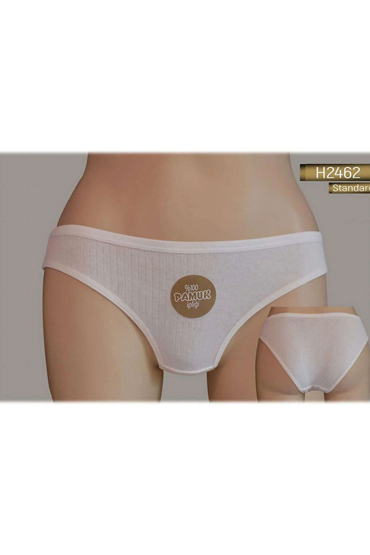 BİKİNİ RIBANA KÜLOT KADIN 2462