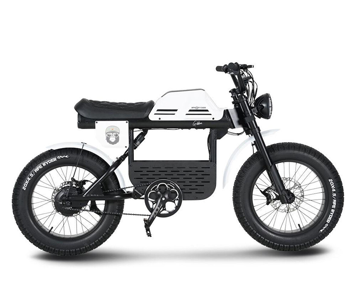 Ape Ryder Gibbon Elektrikli Bisiklet