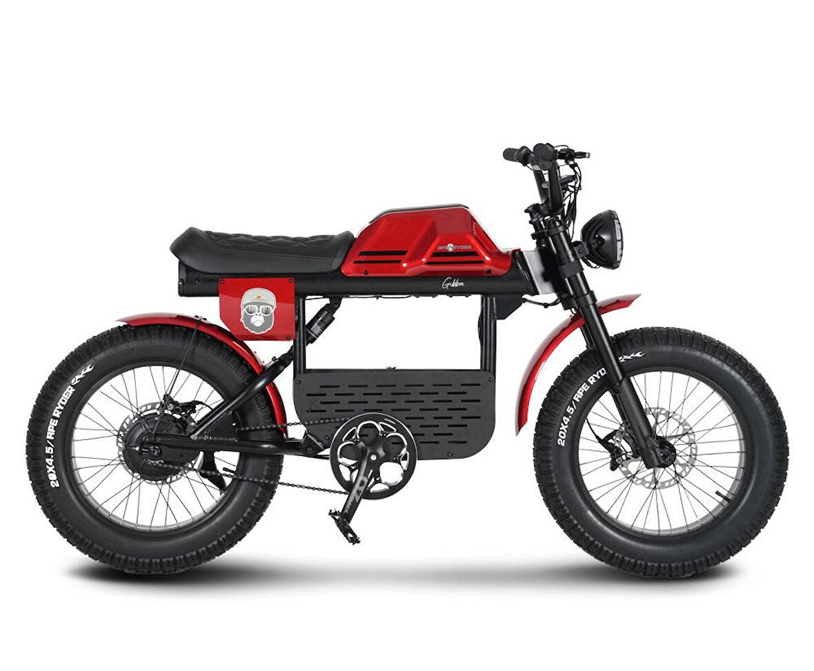 Ape Ryder Gibbon Elektrikli Bisiklet