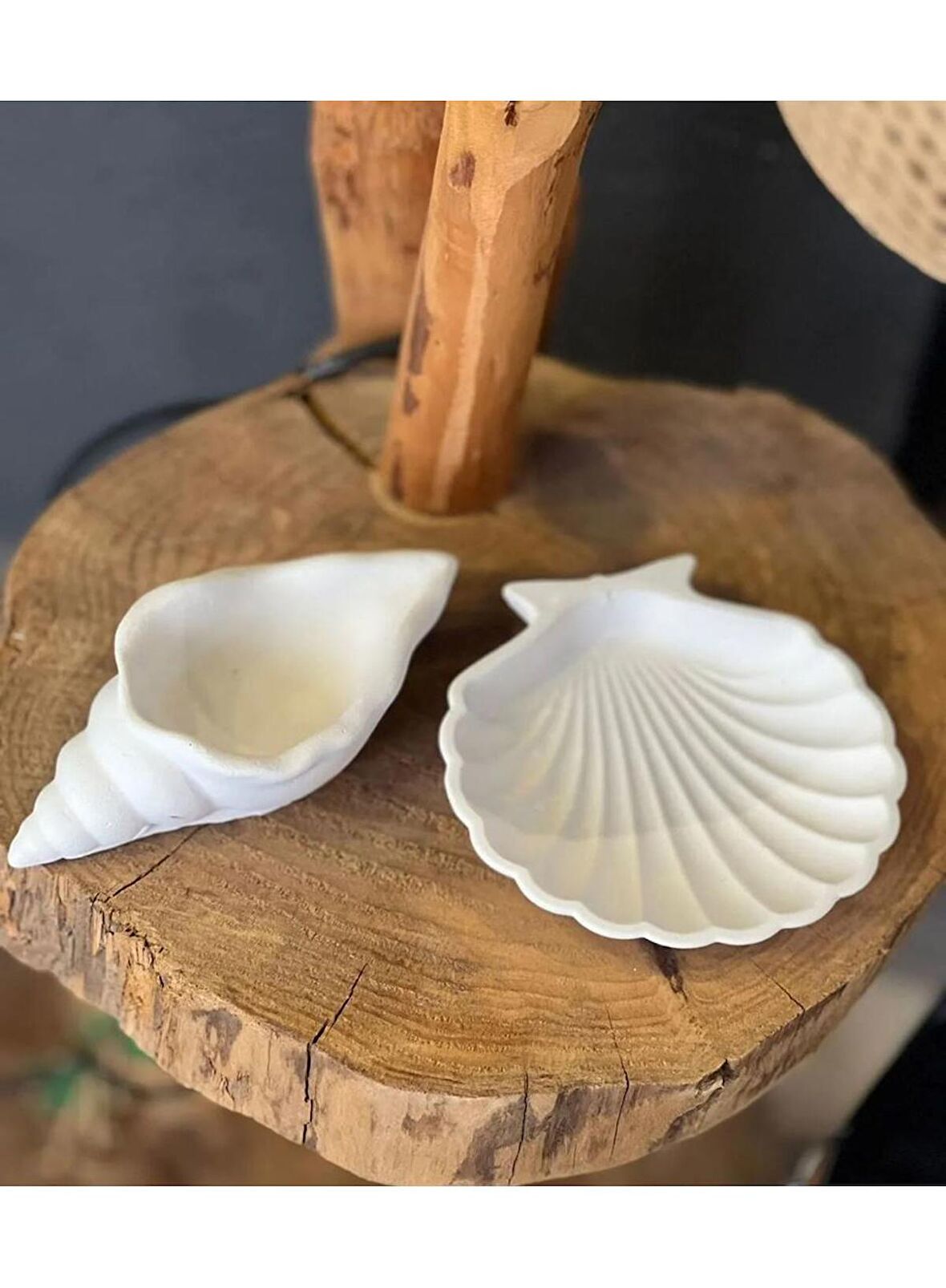 Deniz Kabuğu Ve Istiridye Set Beyaz