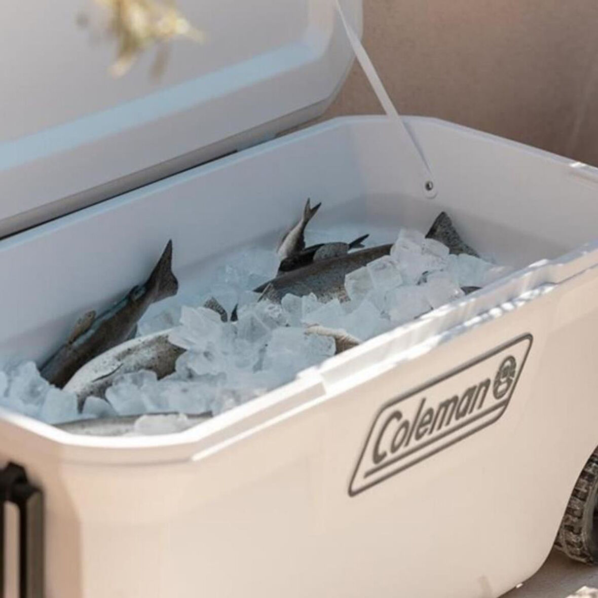 Soğutucu Buzluk - Coleman - Xtreme Wheeled 100 QT Tekerlekli - 94.6 lt - Beyaz