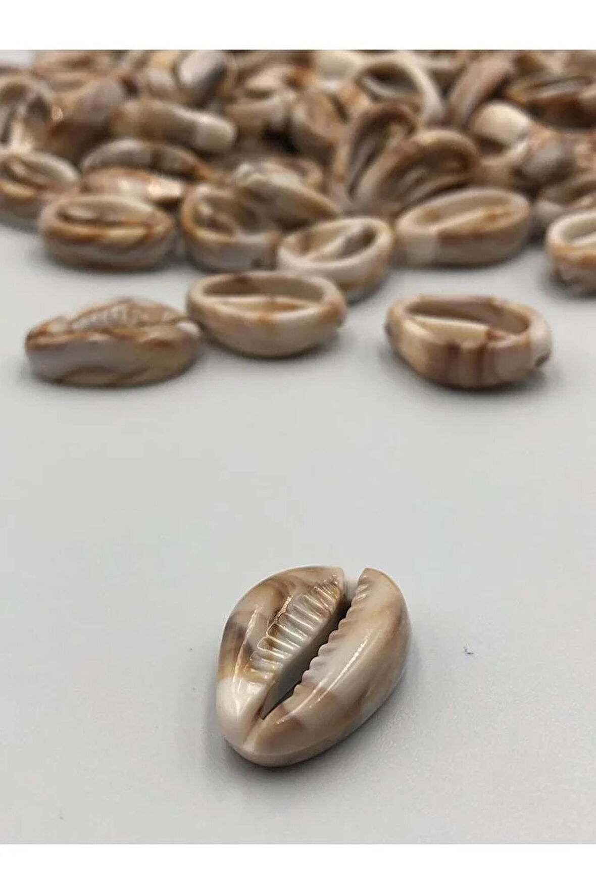 50 Adet Akrelik Deniz Kabuğu 2 cm